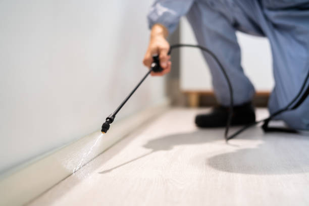 Licensed Pest Control service in Bonny Doon, CA - Show Me Pest Control