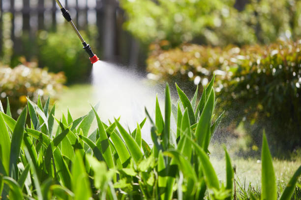 Tamper-Resistant Bait Stations for Rodents in Bonny Doon