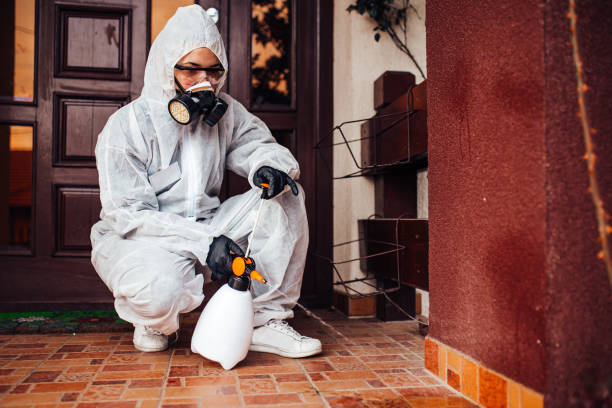 Attic and Crawl Space Rodent Treatment in Bonny Doon